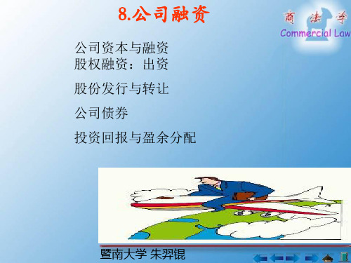 8公司融资-PowerPointPresentatio.ppt