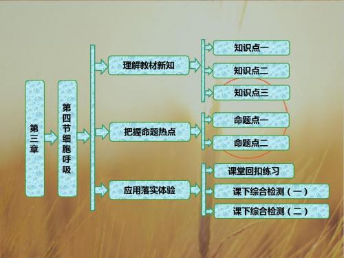 2017-2018学年高中生物浙科版必修1课件：第三章 第四