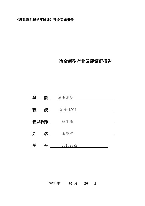 2015级思想政治理论实践课实践报告