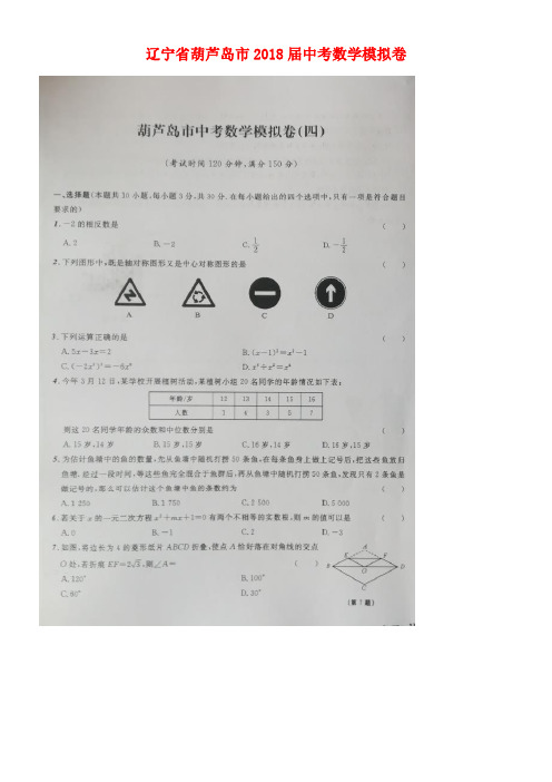 辽宁省葫芦岛市2018届中考数学模拟卷(四)(扫描版)