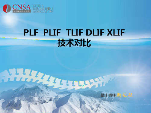 PLF___PLIF__TLIF_ALIF_DLIF_XLIF的技术对比