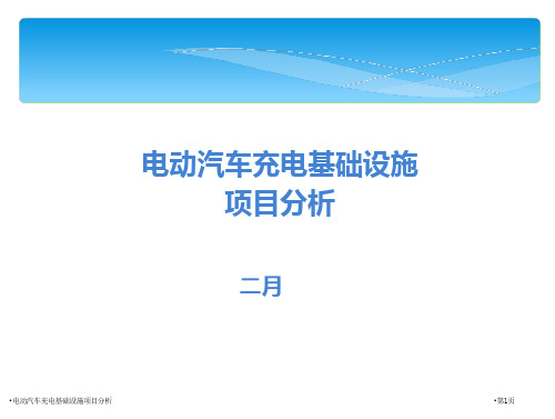 24_电动汽车充电基础设施项目分析