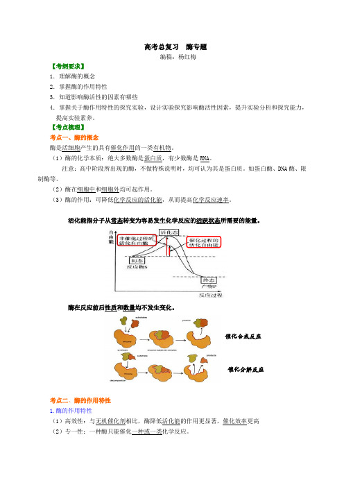 高中生物总复习：酶专题-知识讲解——酶专题