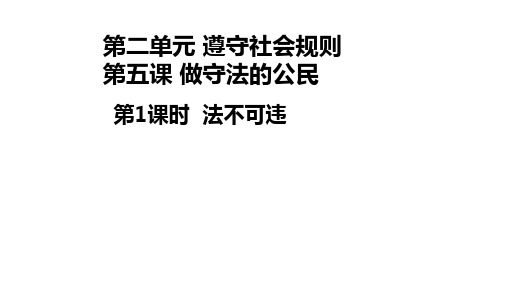 人教版道德与法治八年级上册5.1法不可违课件3