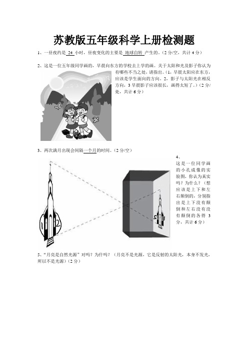 苏教版五年级科学上册检测题