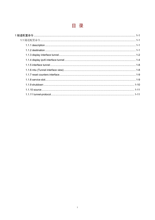 1.1隧道配置命令