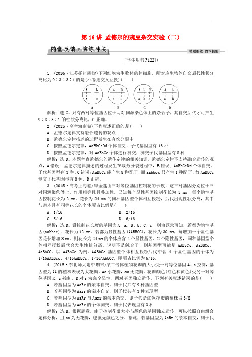 高考生物大一轮复习 第五单元 遗传的基本规律与伴性遗