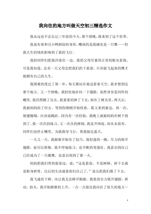 我向往的地方叫做天空初三精选作文