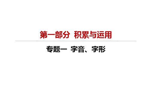 积累与应用专题一 字音、字形