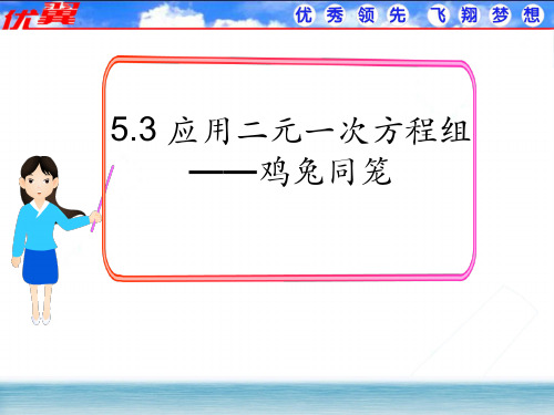 5.3 应用二元一次方程组——鸡兔同笼