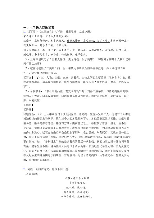 2020-2021中考语文 诗歌鉴赏综合试题含答案解析