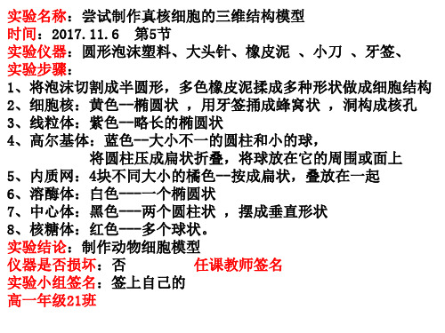 制作真核细胞的三维结构模型实验报告