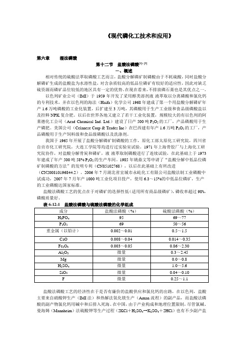 现代磷化工技术和应1