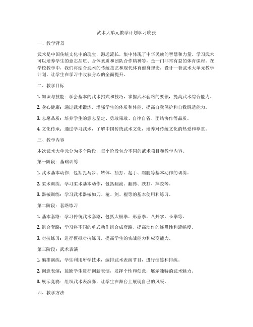 武术大单元教学计划学习收获