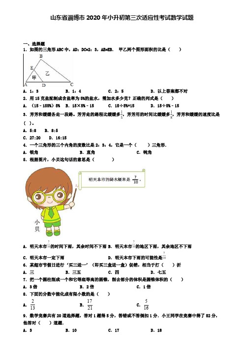 山东省淄博市2020年小升初第三次适应性考试数学试题