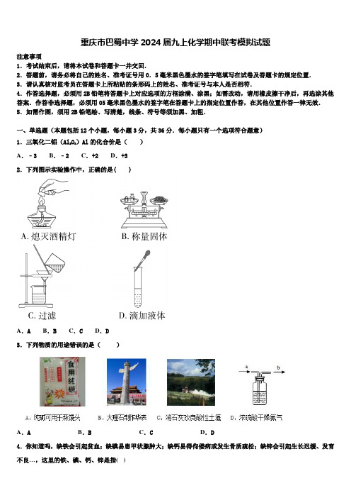 重庆市巴蜀中学2024届九上化学期中联考模拟试题含解析