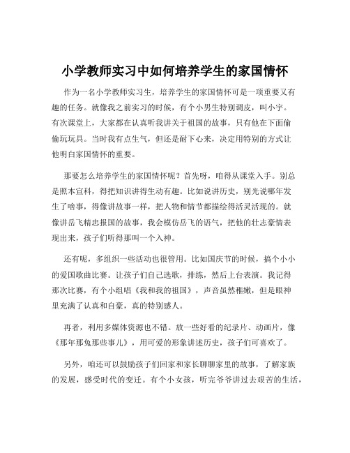 小学教师实习中如何培养学生的家国情怀