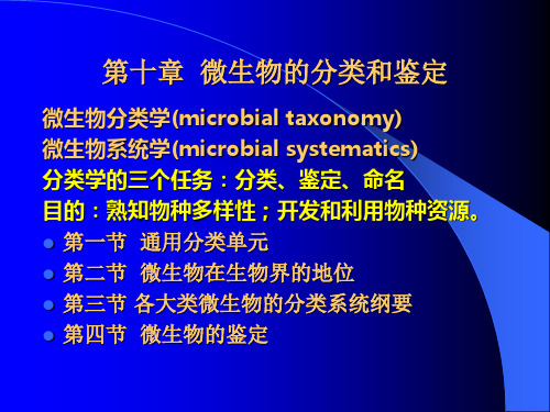 第十章 微生物的分类和鉴定