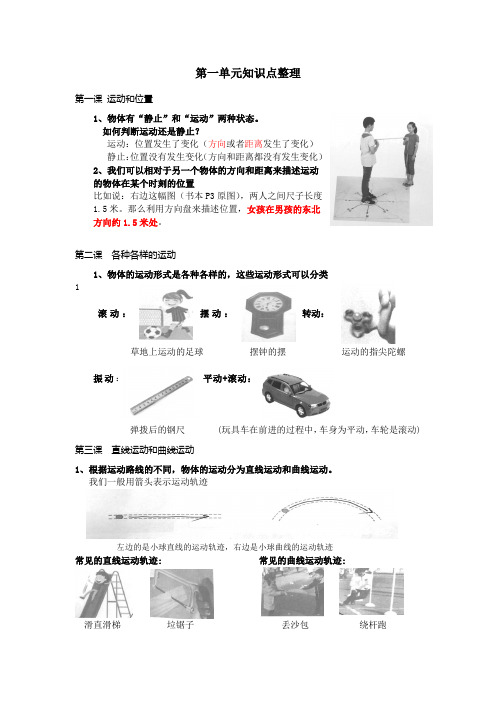 新教材教科版小学科学三年级第一单元知识点整理