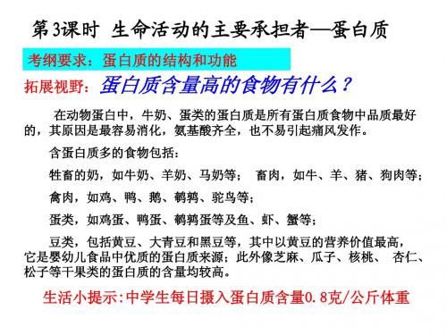 人教版教学课件生命活动的承担者—蛋白质的一轮复习课件