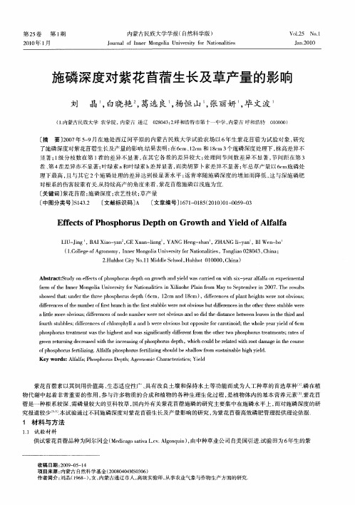施磷深度对紫花苜蓿生长及草产量的影响