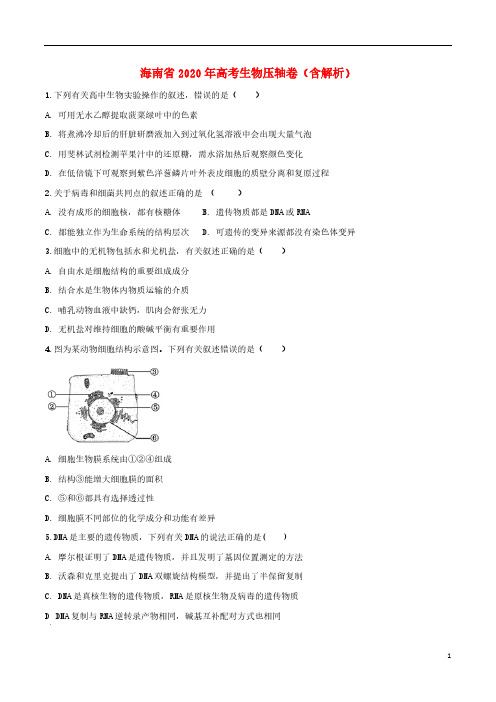 海南省2020年高考生物压轴卷(含解析)