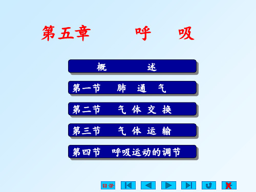 5、生理学课件 呼吸系统 自改PPT