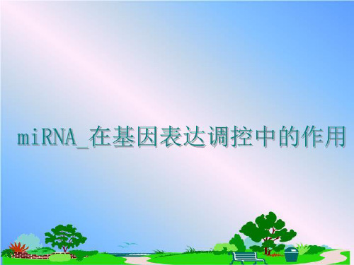 最新miRNA_在基因表达调控中的作用讲学课件