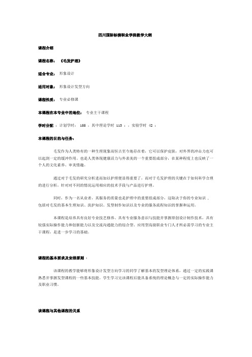 四川国际标榜职业学院教学大纲 