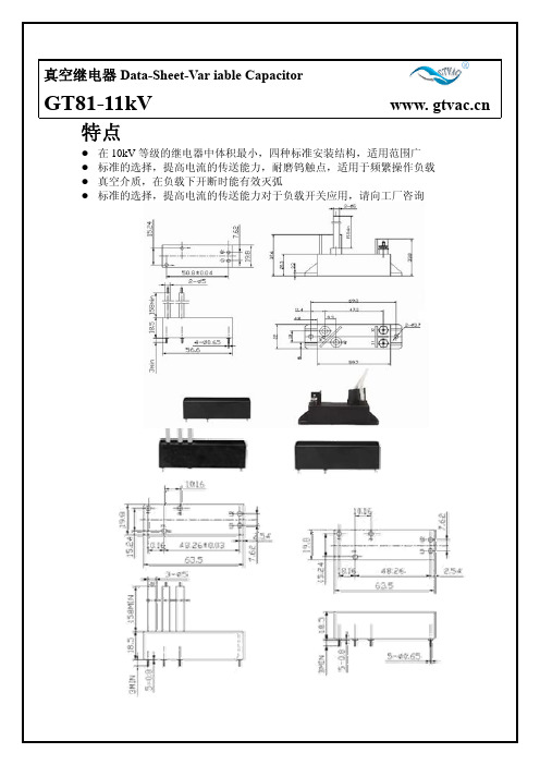 GT81高压继电器  10kV