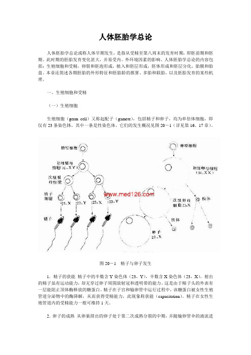 人体胚胎学总论