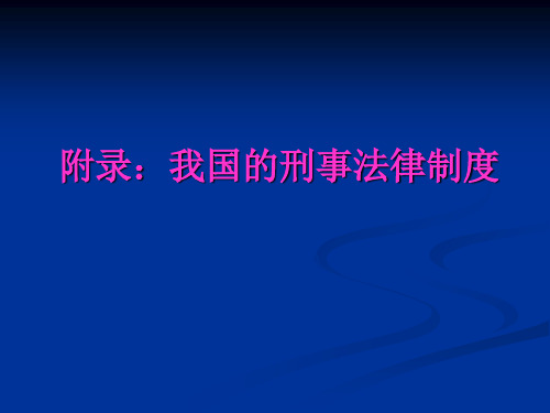 第五章附录刑法知识讲解