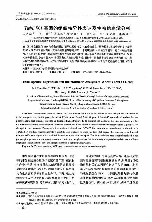 TaNHX1基因的组织特异性表达及生物信息学分析