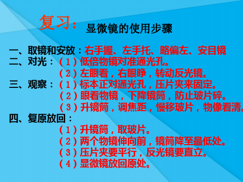 观察动物细胞PPT课件1 人教版优秀课件