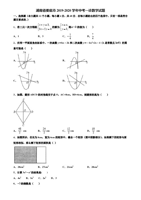 湖南省娄底市2019-2020学年中考一诊数学试题含解析