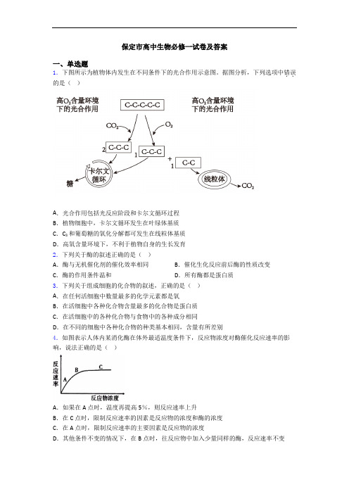 保定市高中生物必修一试卷及答案