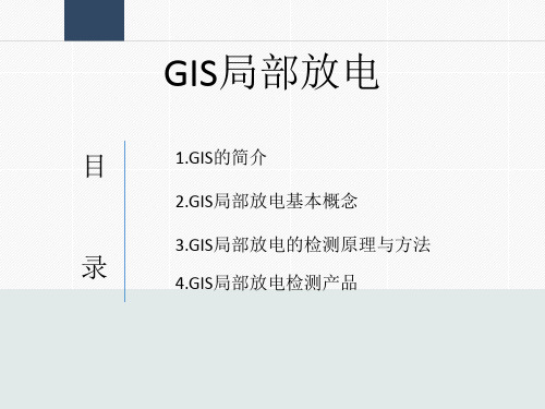 GIS局部放电  ppt课件