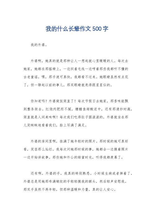 我的什么长辈作文500字