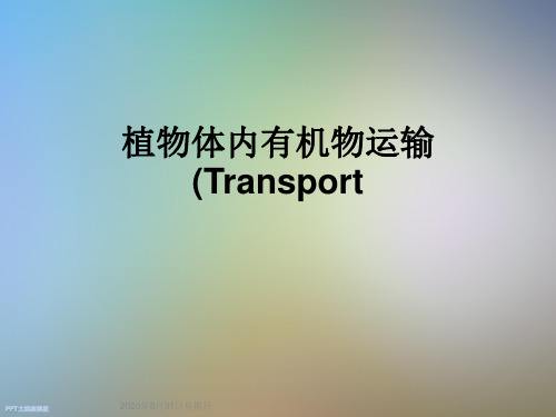 植物体内有机物运输(Transport