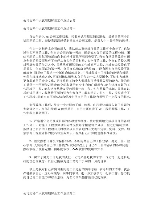 公司文秘个人试用期转正工作总结3篇