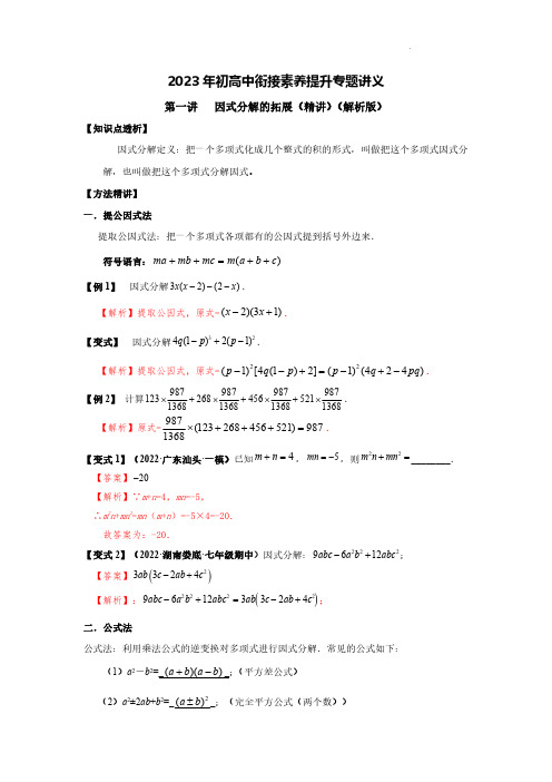 因式分解的拓展(精讲)(解析版)--2023届初升高数学衔接专题讲义