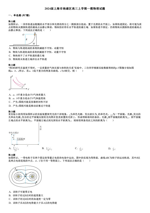 2024届上海市杨浦区高三上学期一模物理试题