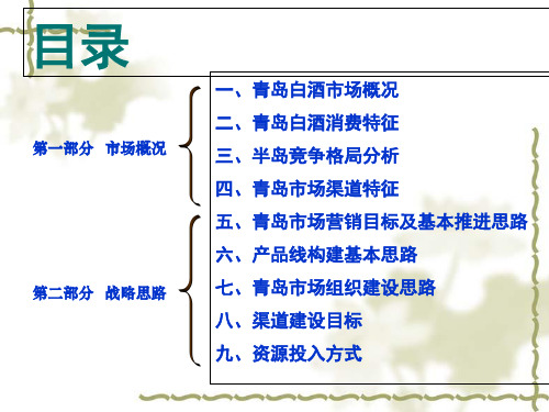 某酒业市场营销策略思路