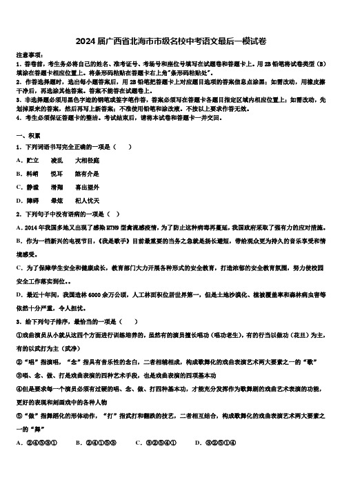 2024届广西省北海市市级名校中考语文最后一模试卷含解析