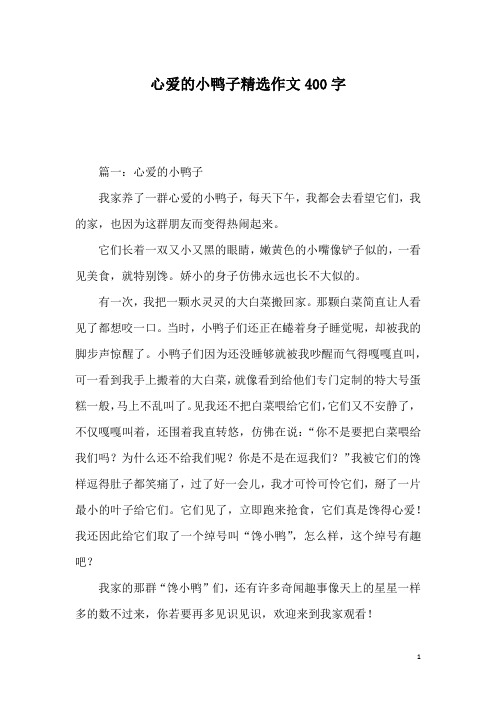 心爱的小鸭子精选作文400字_1