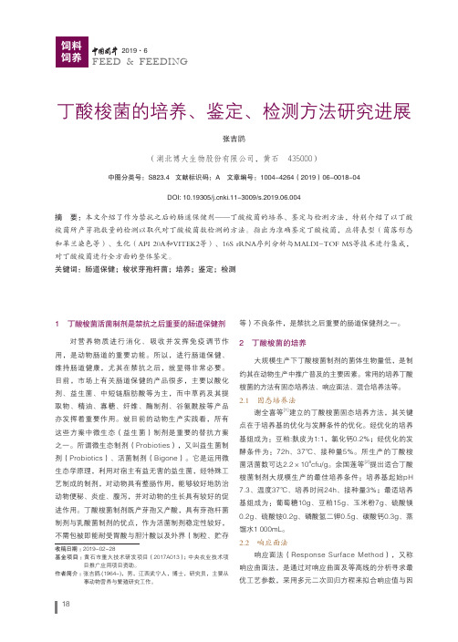 丁酸梭菌的培养、鉴定、检测方法研究进展