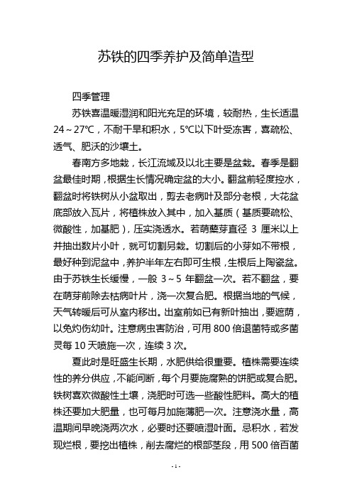 苏铁的四季养护及简单造型