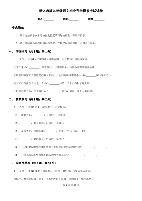 新人教版九年级语文毕业升学模拟考试试卷