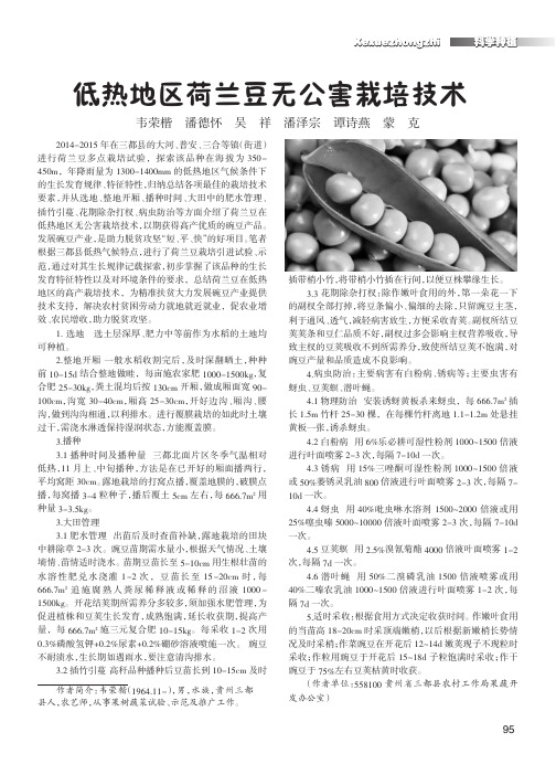 低热地区荷兰豆无公害栽培技术