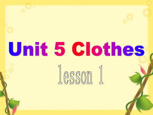 人教版(新起点)Unit5ClothesLesson1课件